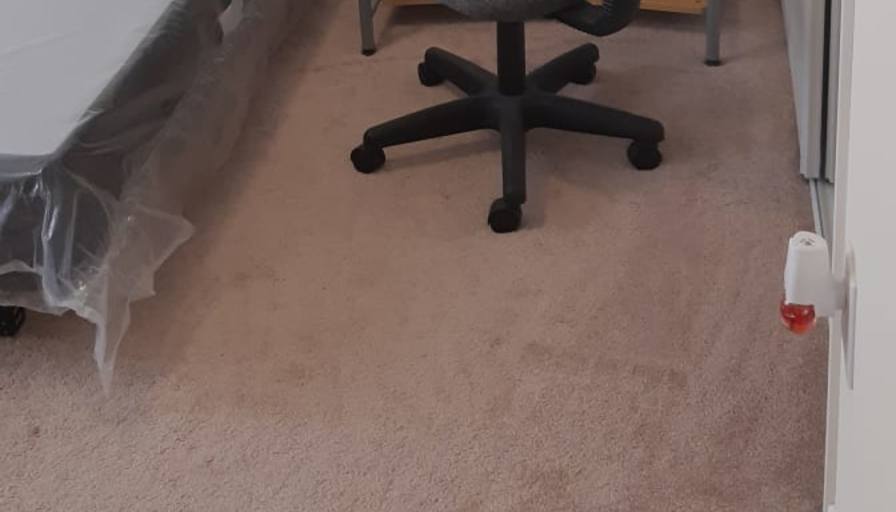 Shaheen's room