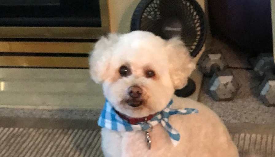 Barron McConnachie's room