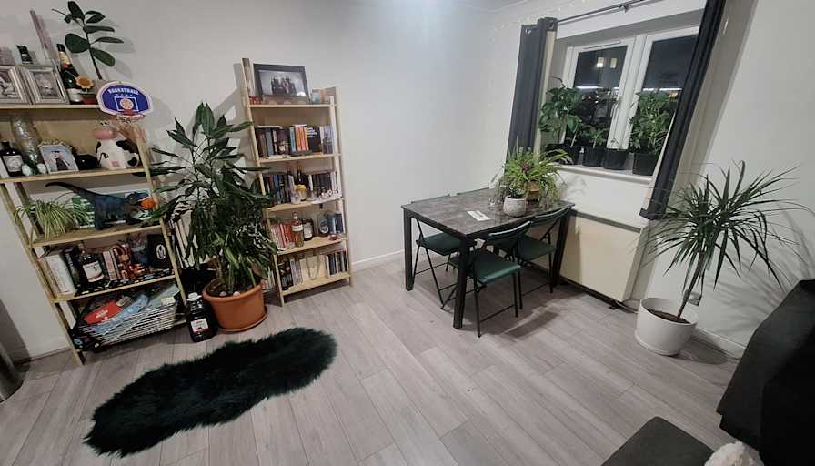 Shaan Randhawa's room