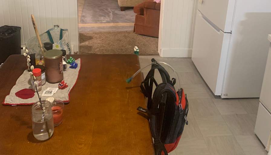 Cat's room