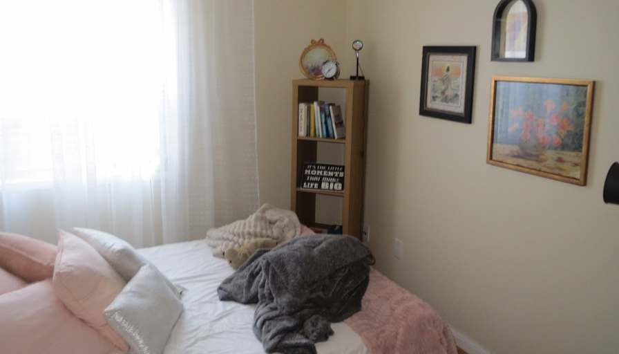 Shelley's room