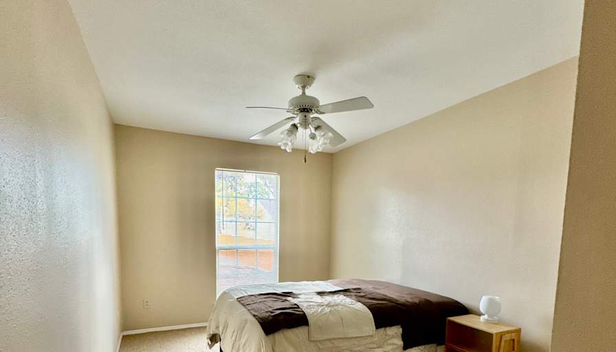 Jenine's room