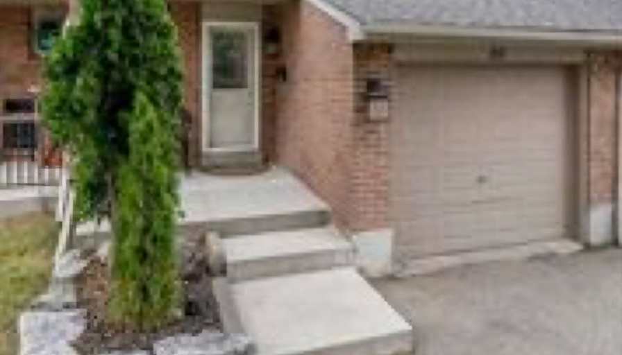 Nayereh Molaee's room