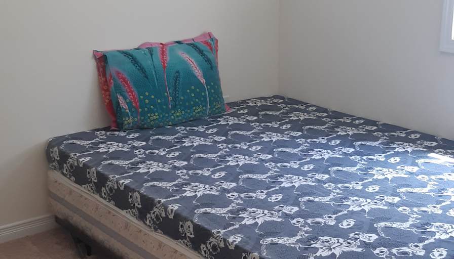 Shaheen's room