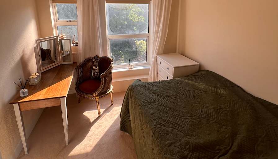 Shannon Wheeler's room