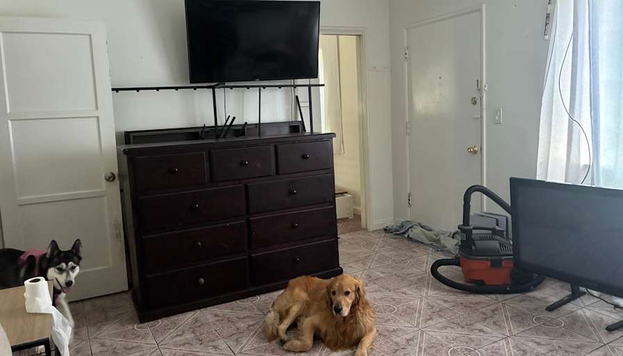 Tony's room