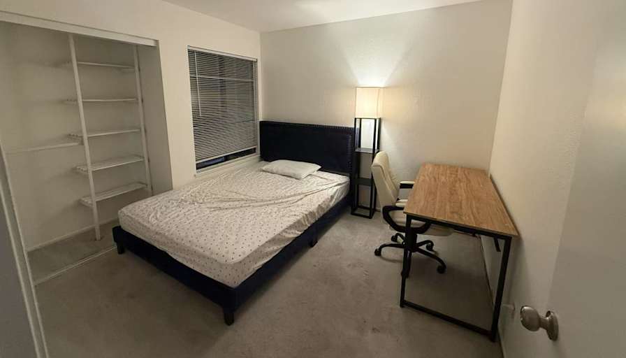 Lisa Z's room