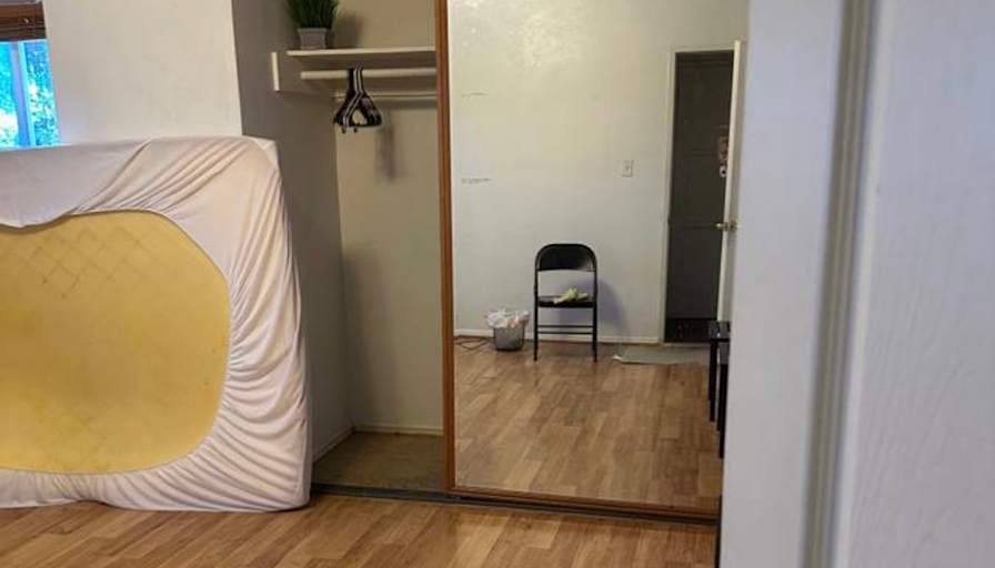 M's room
