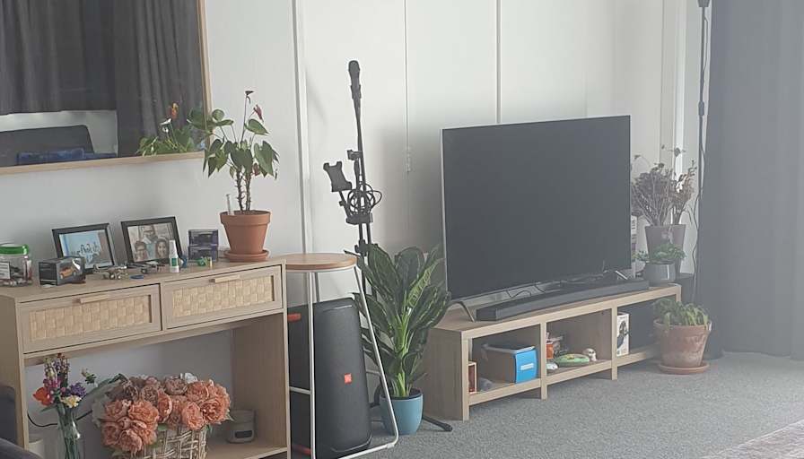 Lucille's room