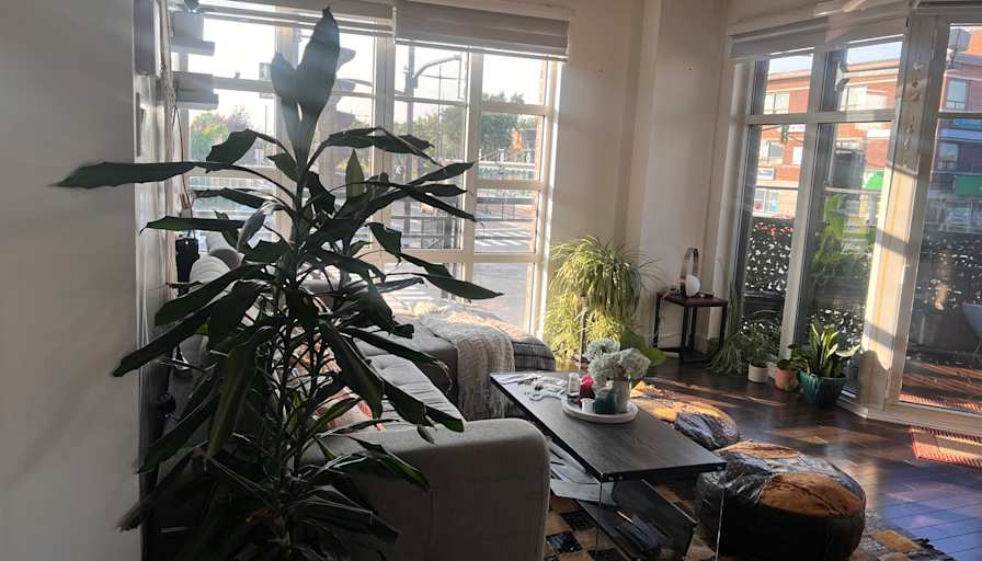 Anna's room