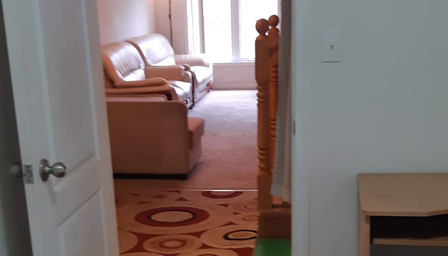 Shaheen's room