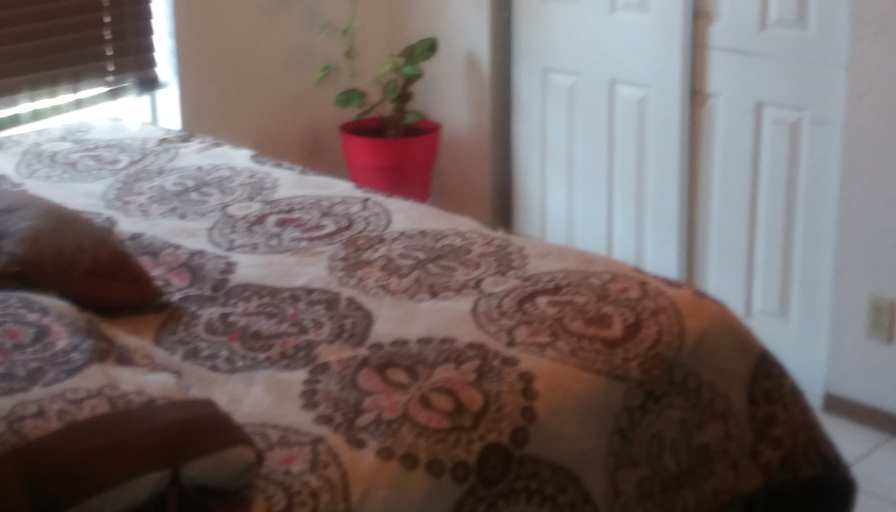 Andres's room