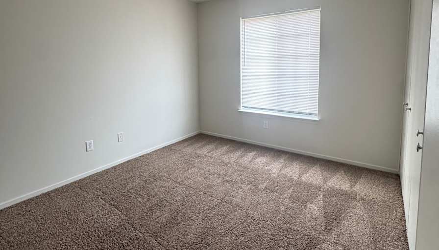 Sasha's room