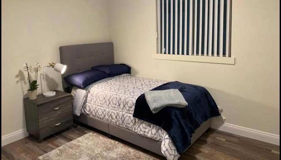 Room For Rent's room