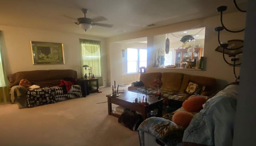 bailey's room