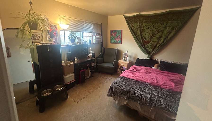 Ash's room
