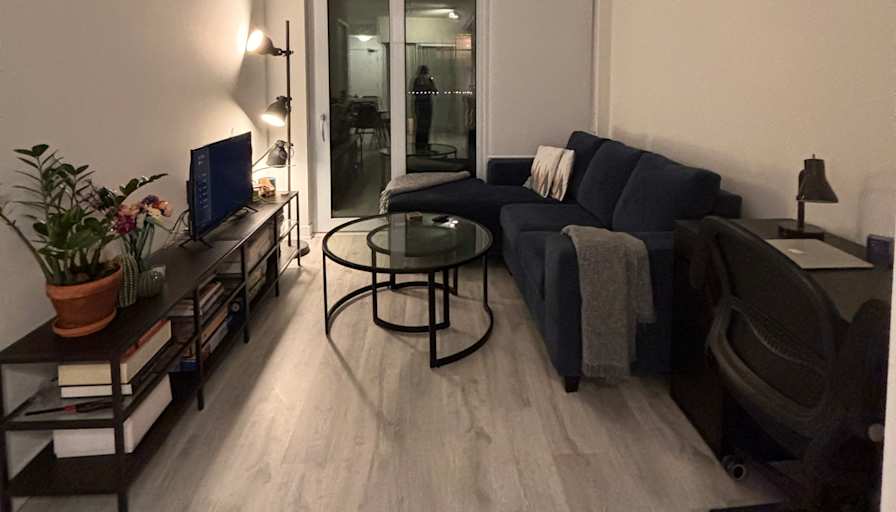 Snigdha Chaturvedi's room