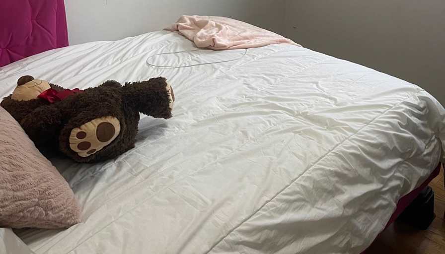 Anna's room
