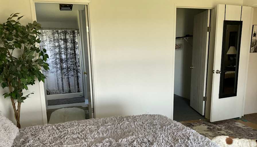 Treena Lynch's room
