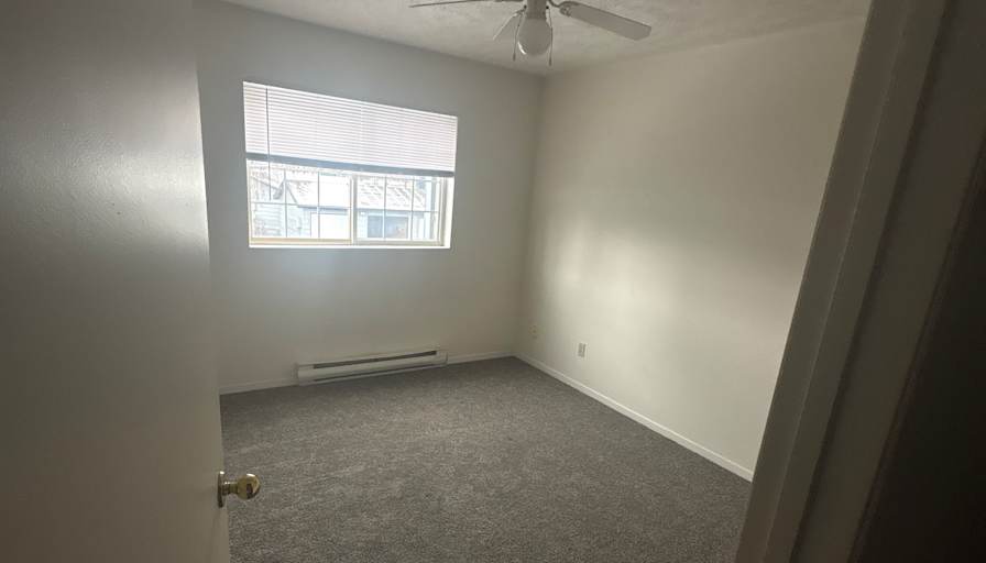 Charlotte Puleo's room