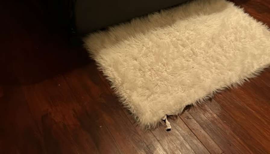 Daniel Fuller's room