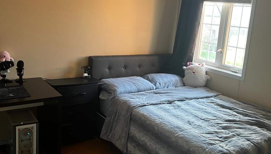 Anna's room