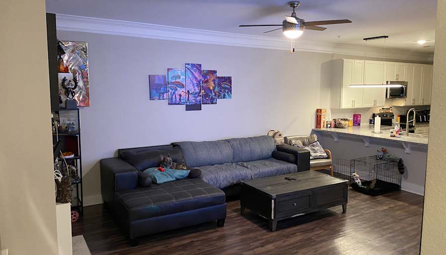 Emin Abdullayev's room
