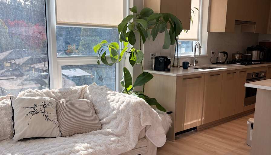 Junsong Zhang's room