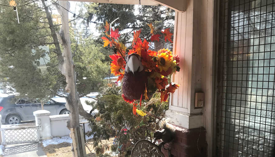 Lori's room