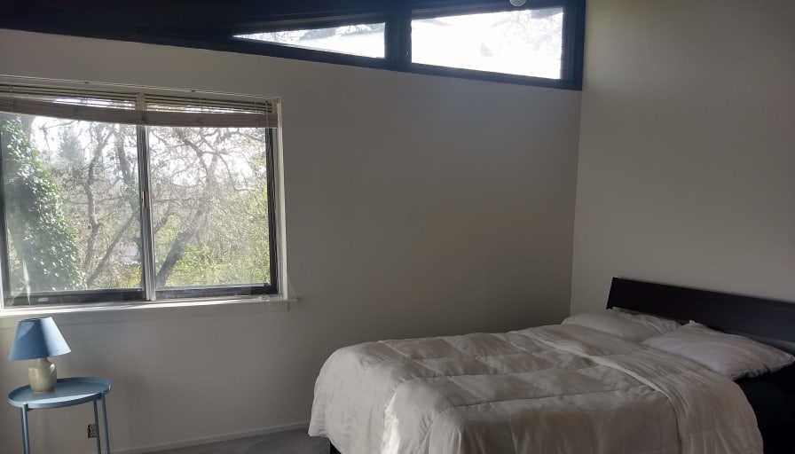 Lauren's room