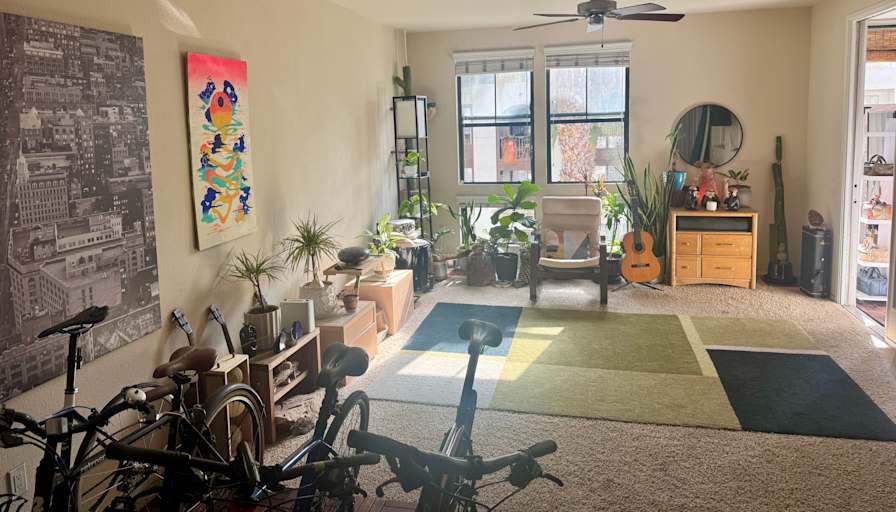 Vincent's room
