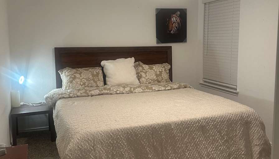Lewis's room