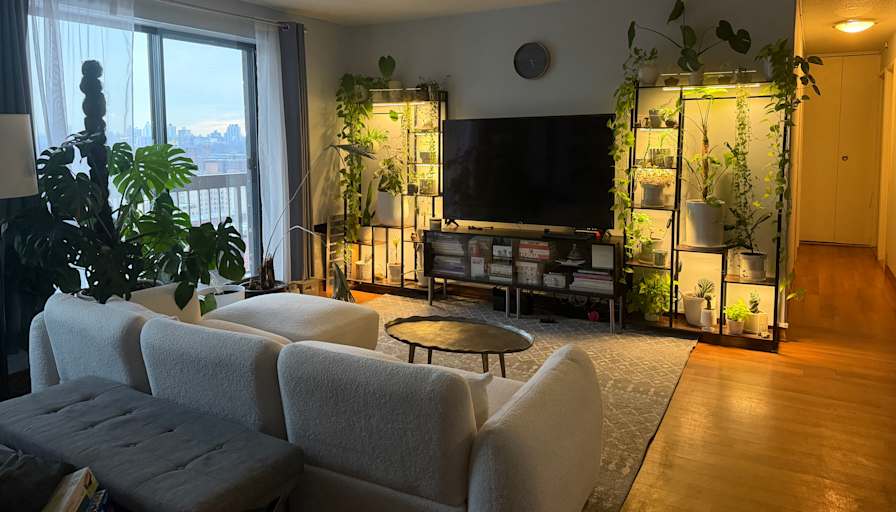 Lois's room
