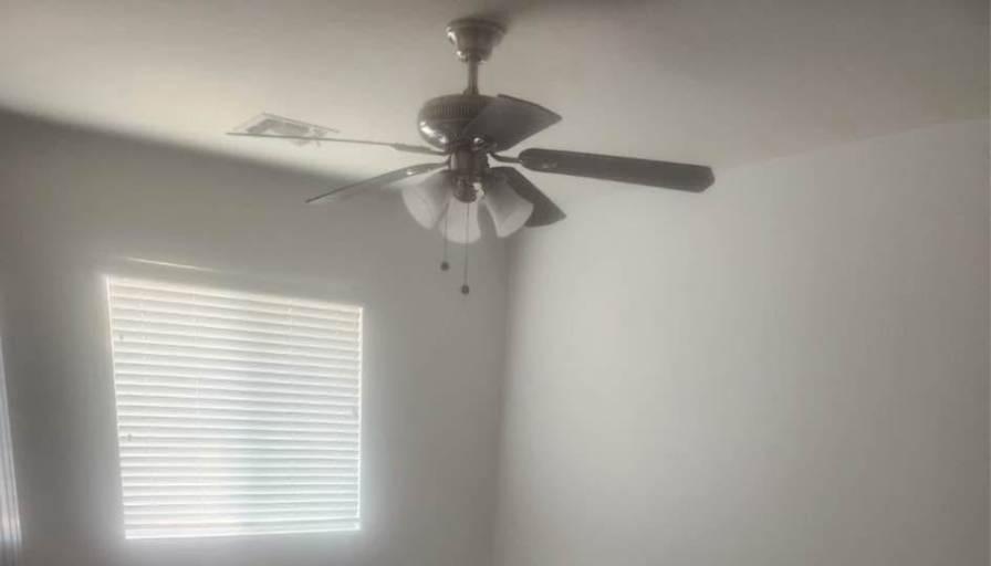 Sophia's room