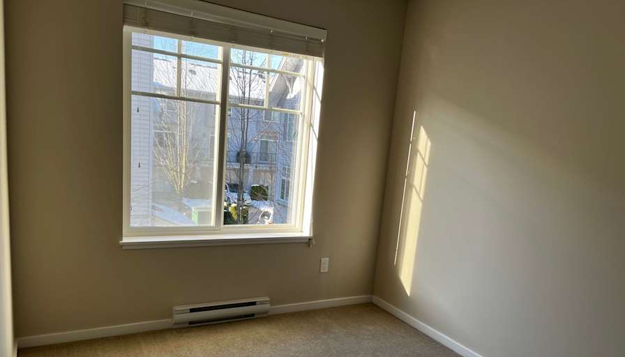 Zezen's room