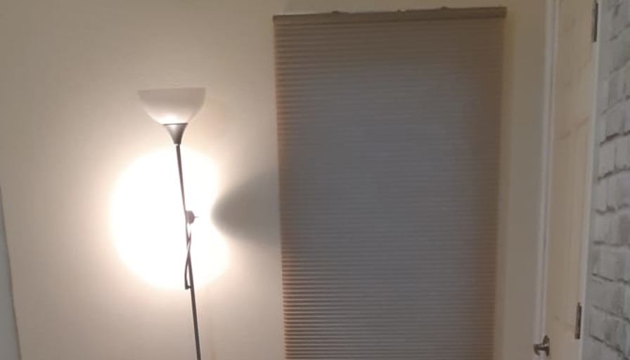 Shaheen's room