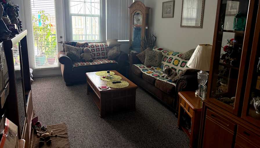 Alpha's room