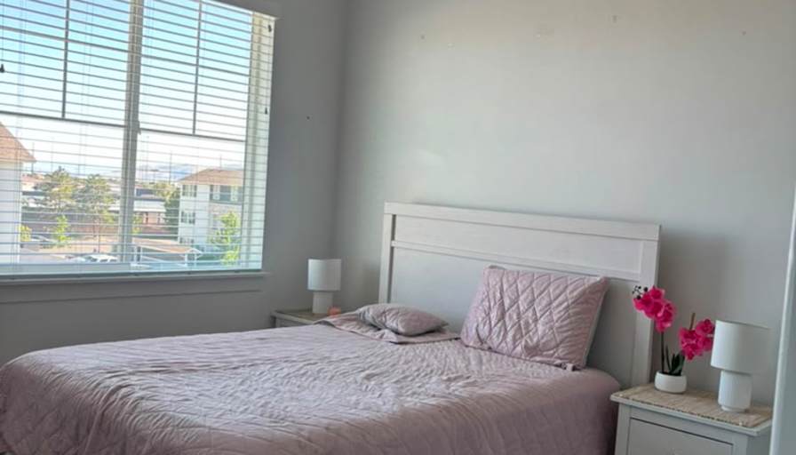 Manon Ruivo's room