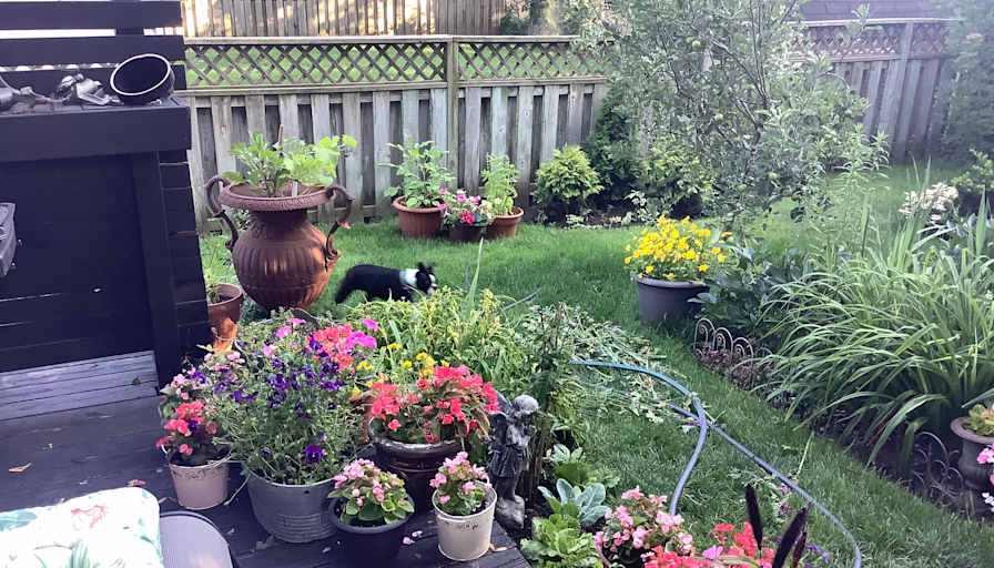 Jeffrey Pommer's room