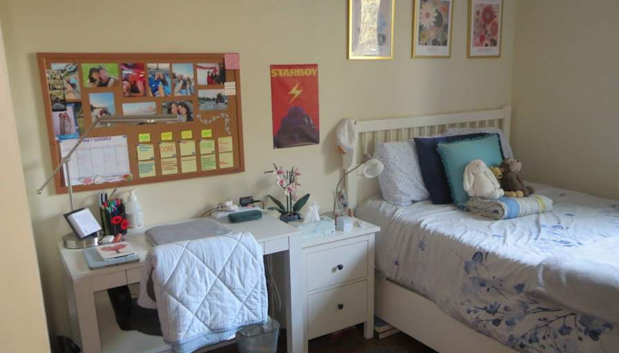Shelley's room