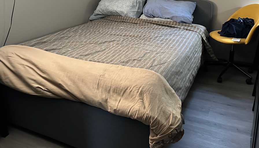 Ryan May's room