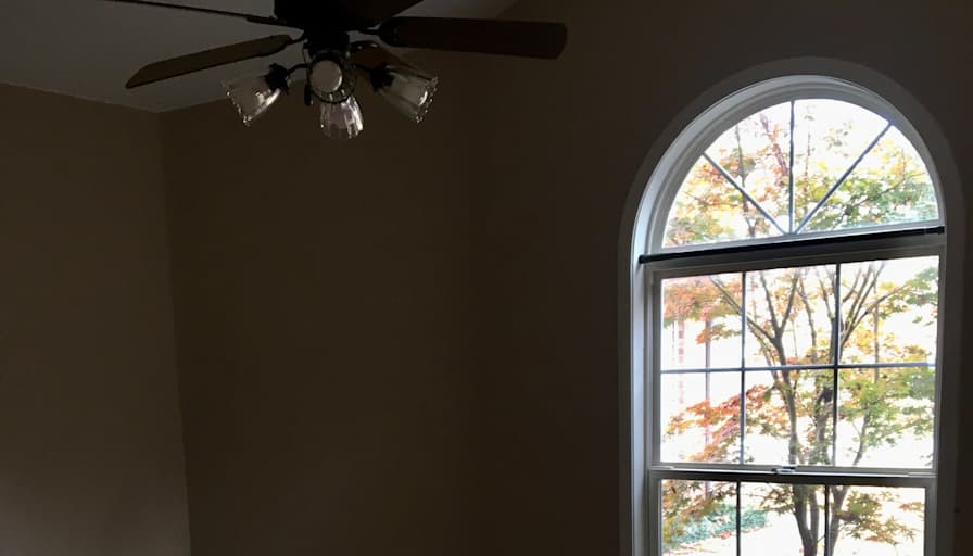Emily's room