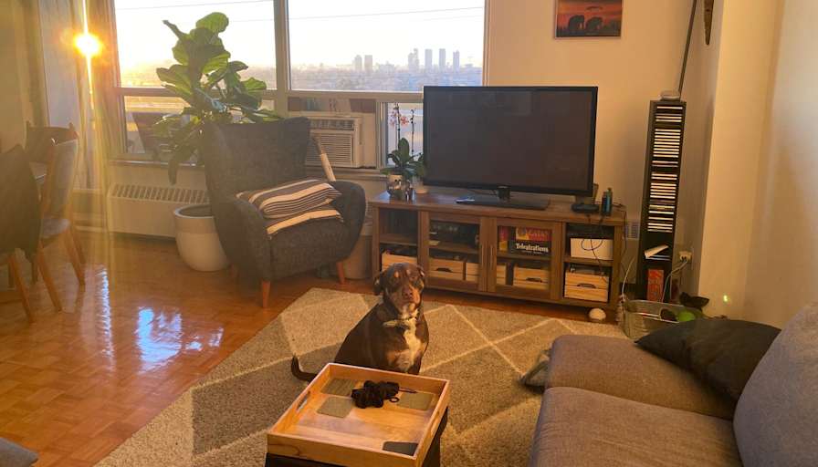 Sydney's room