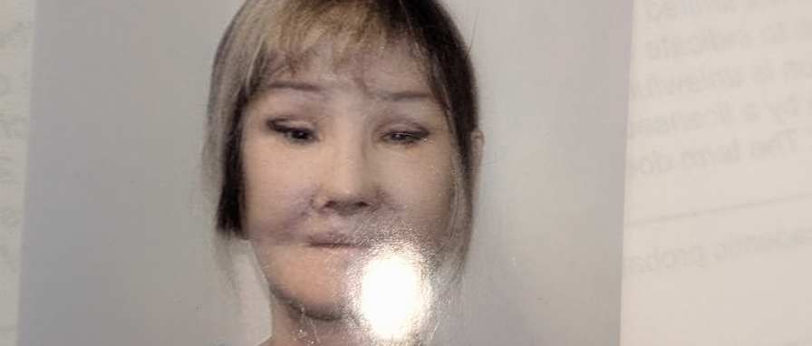 Lesley H Lee