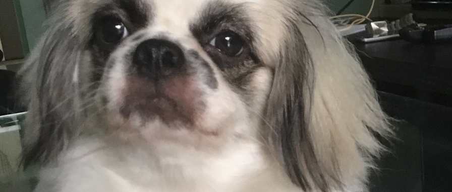 Vange