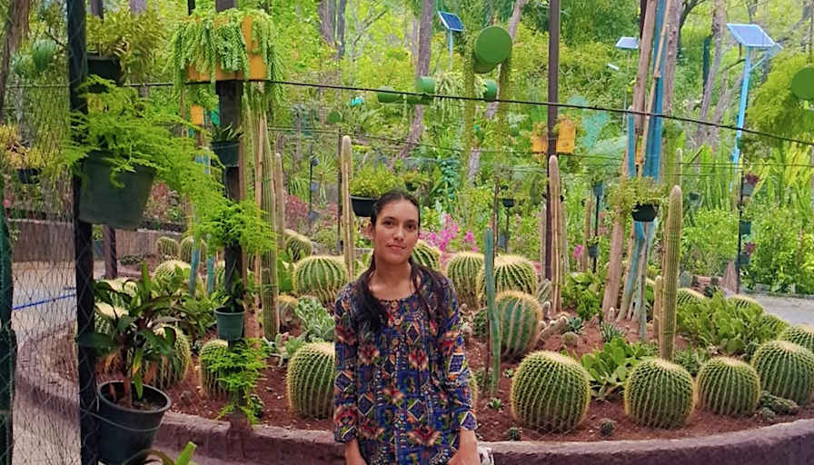 Shilpi