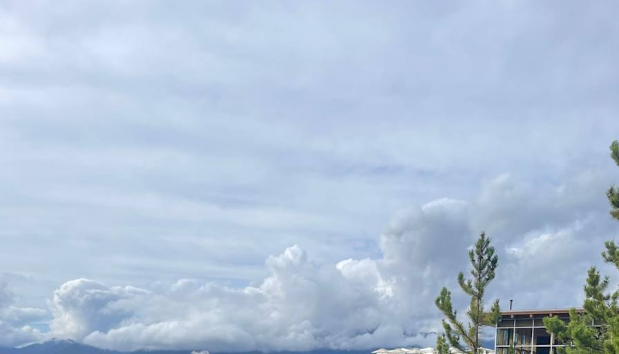 Jay