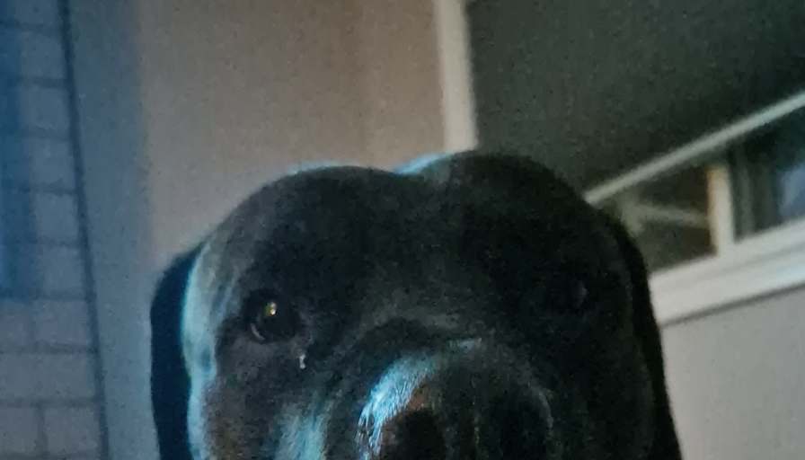 Mateo