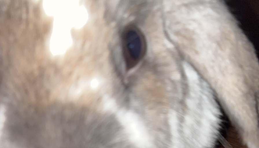 Logan