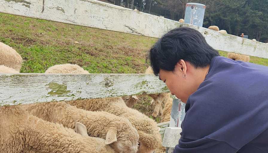 Jeongwon
